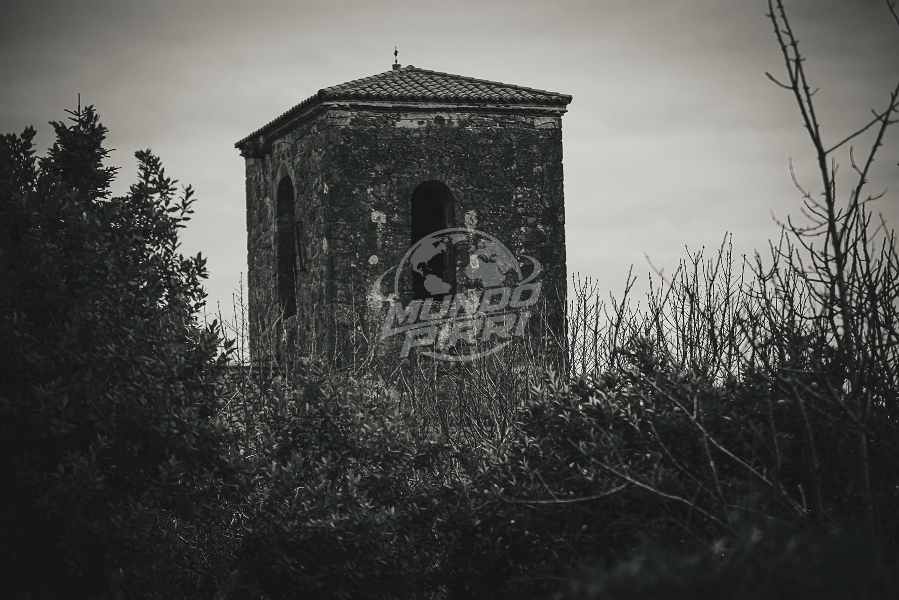 Antigua torre de piedra entre arbustos, blanco y negro