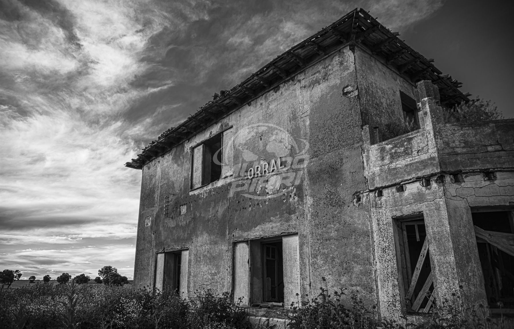 Estación de tren abandonada entre flores silvestres, blanco y negro