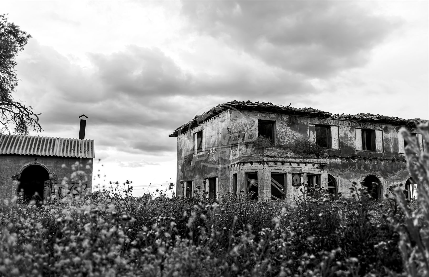 Estación de tren en ruinas, blanco y negro