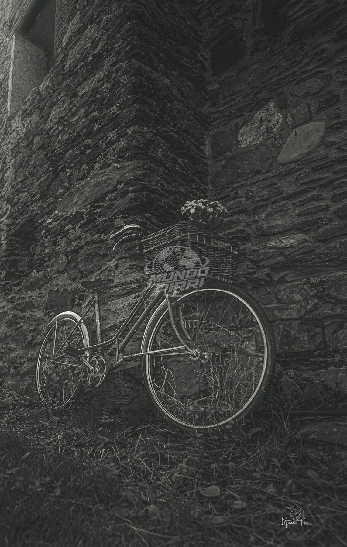 Bicicleta antigua con cesta de flores junto a un muro de piedra