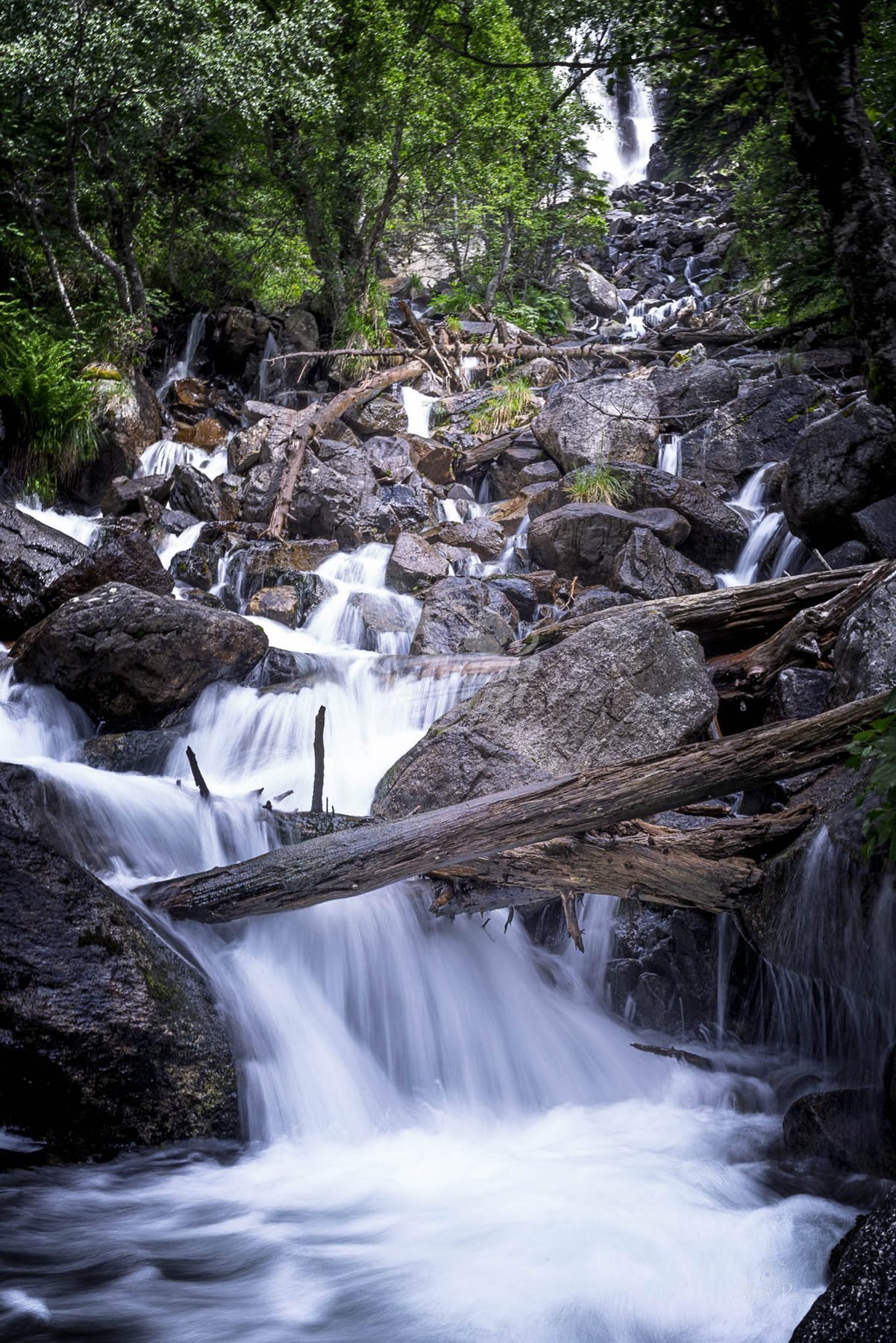 Cascada entre rocas y troncos caídos
