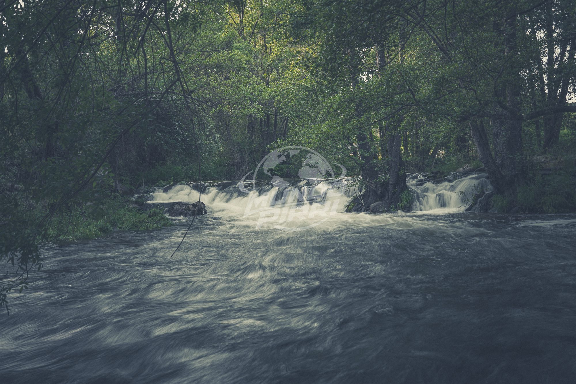 Pequeña cascada en un río de bosque