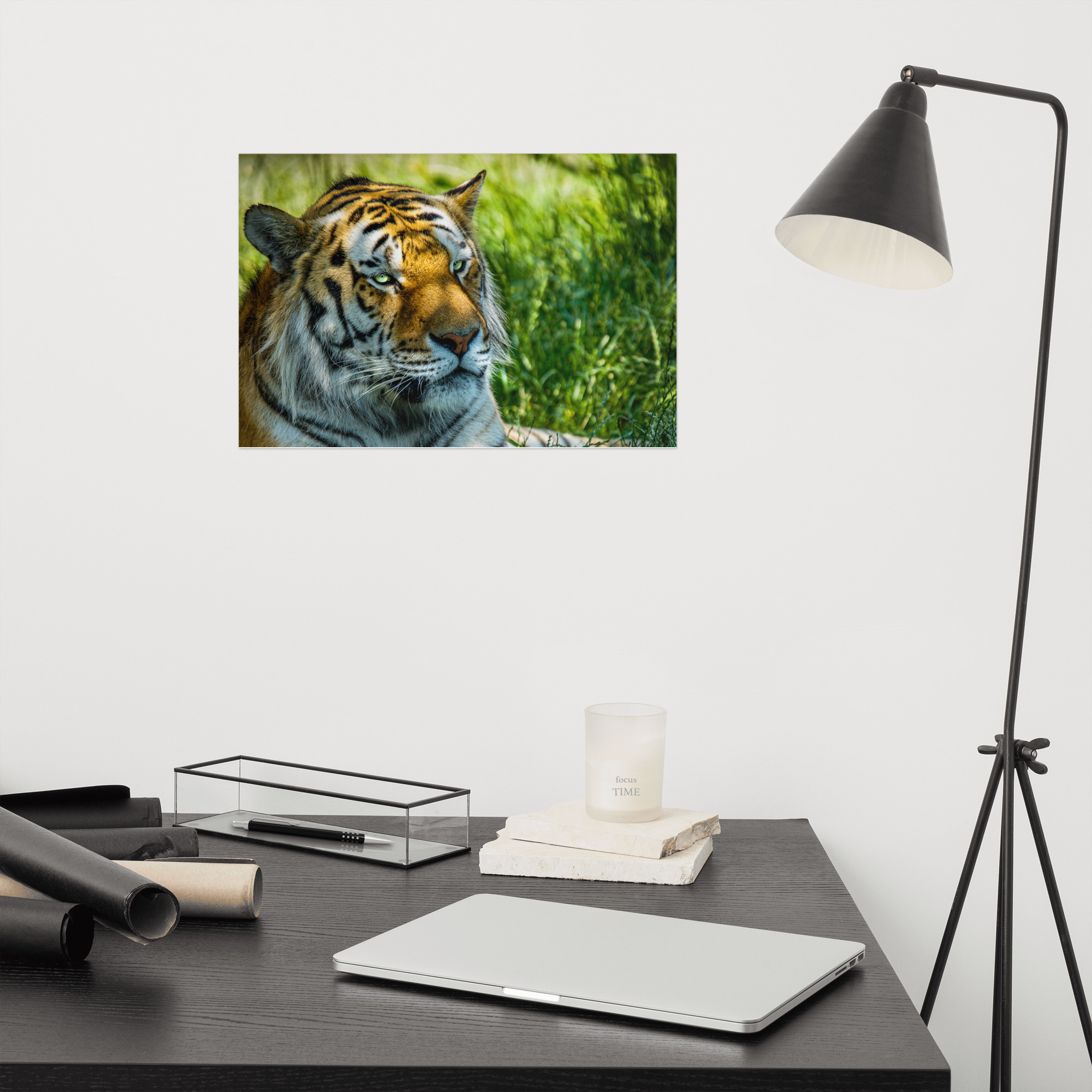 Bengal Tiger Portrait Poster | Wild Cat Wildlife Photography Prin - Imagen 31