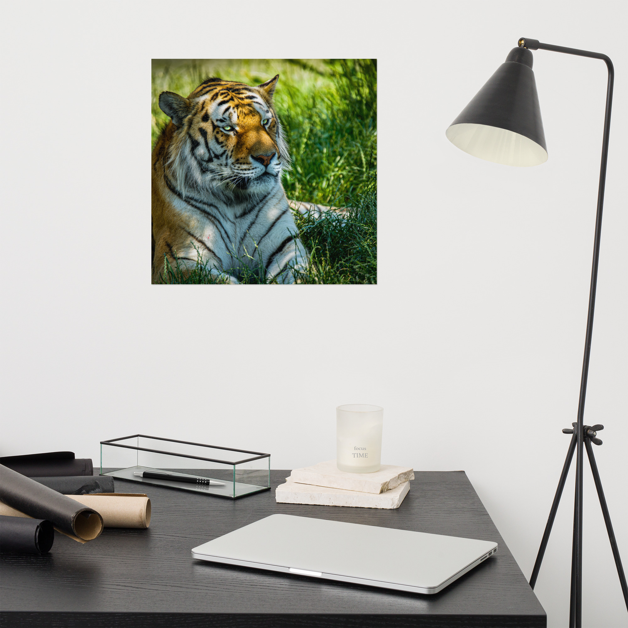 Bengal Tiger Portrait Poster | Wild Cat Wildlife Photography Prin - Imagen 32